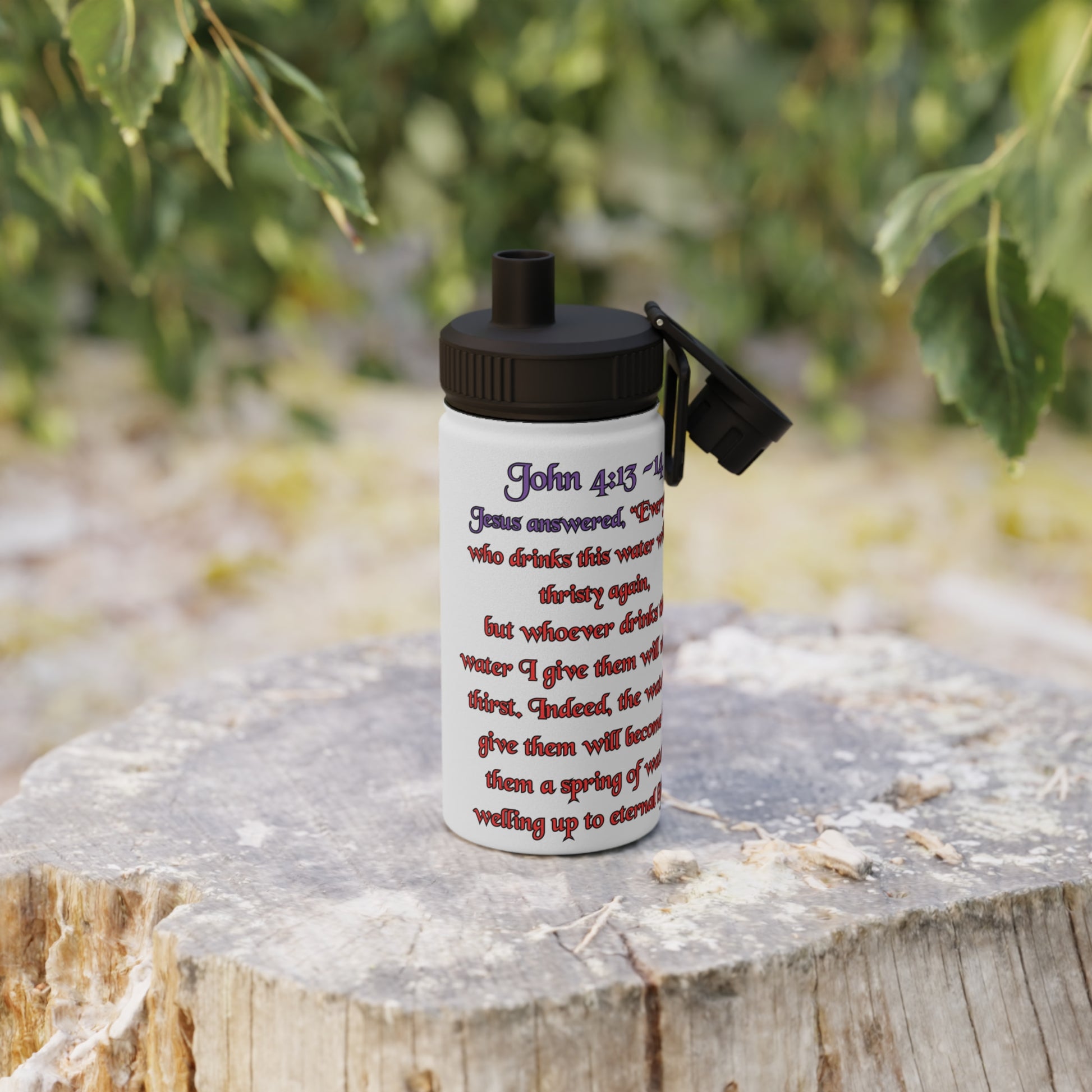 Living Water Stainless Steel Water Bottle
